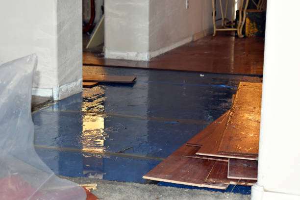 Professional Sewage Cleanup technician working in Auburndale, MA