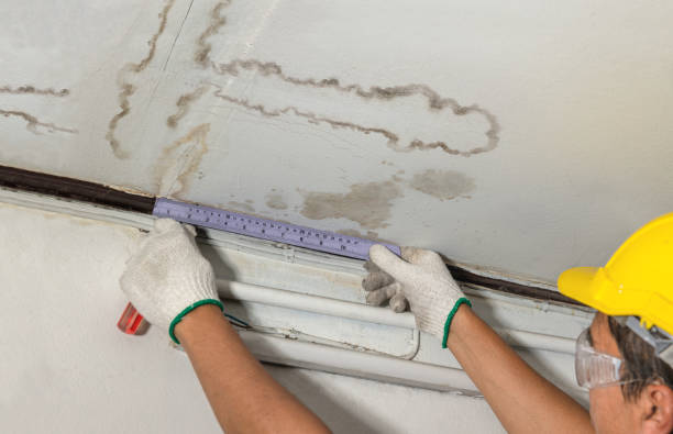 Reliable Sewage Cleanup contractor in Auburndale, MA by Water Damage Irwin